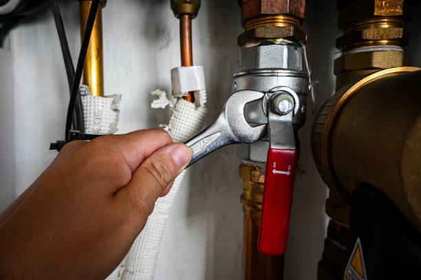 Best Residential Plumbing Services  in Randallstown, MD